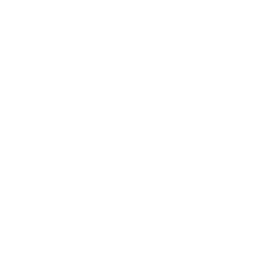 Logo Visualz